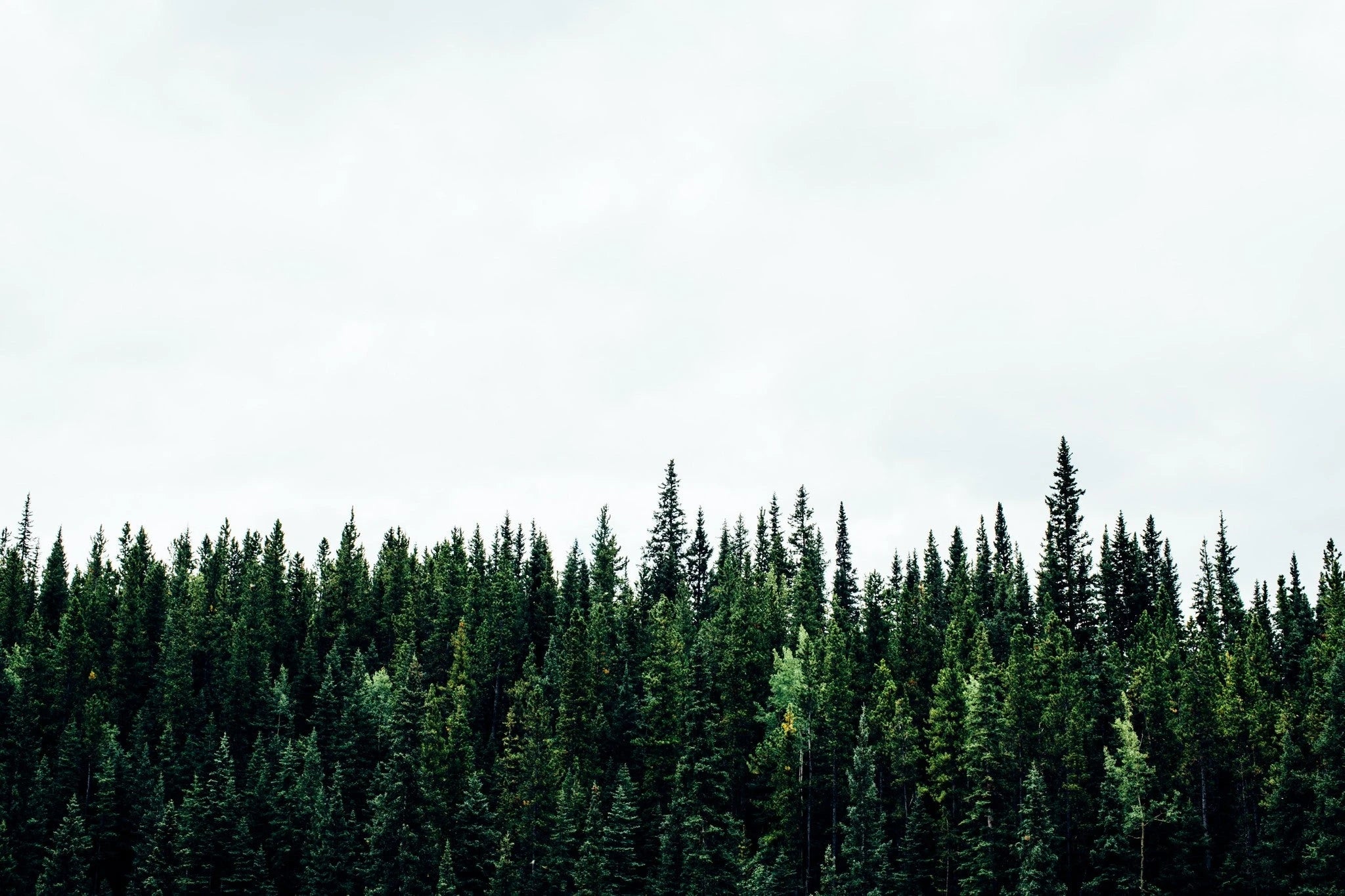 Penfield