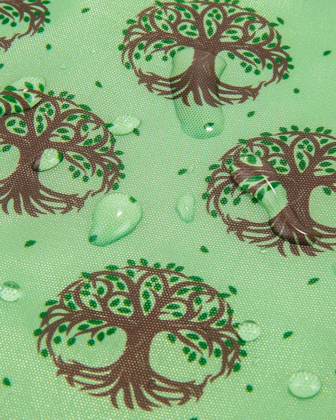 ECO CHIC - A96GN