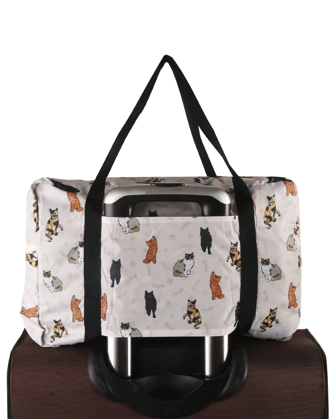 ECO CHIC - DS87BG