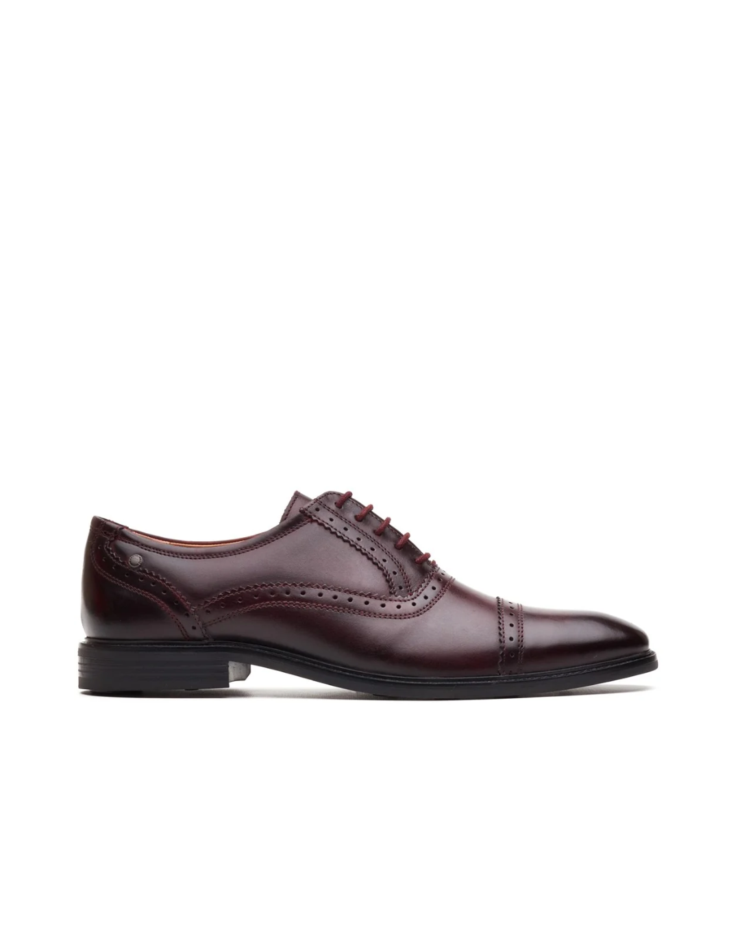 AQ02 ASCOT - ASCOT