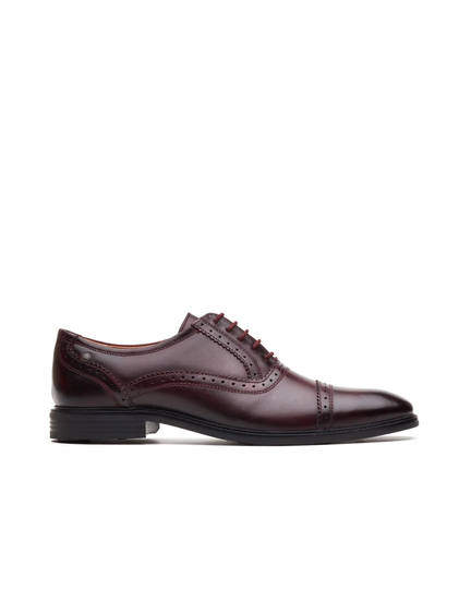 AQ02 ASCOT - ASCOT