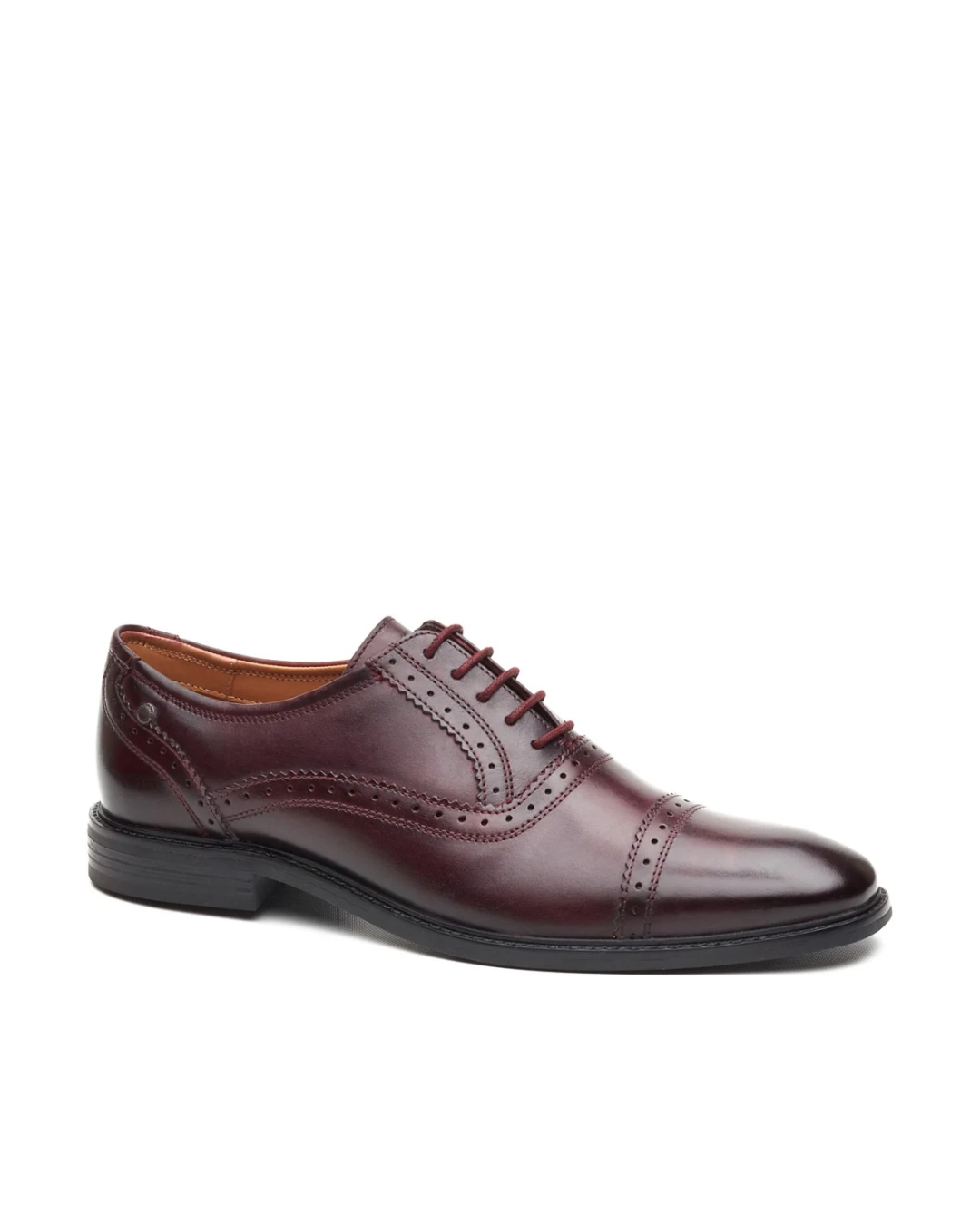 AQ02 ASCOT - ASCOT