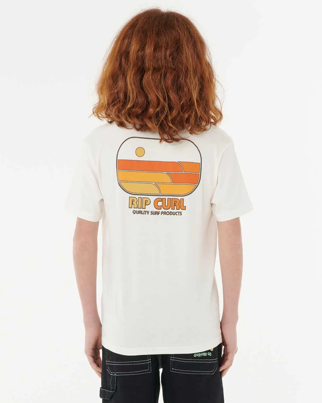 SURF REVIVAL - 12FBTE