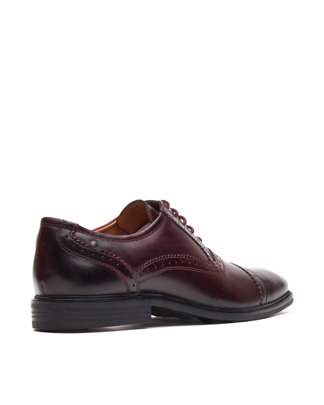 AQ02 ASCOT - ASCOT