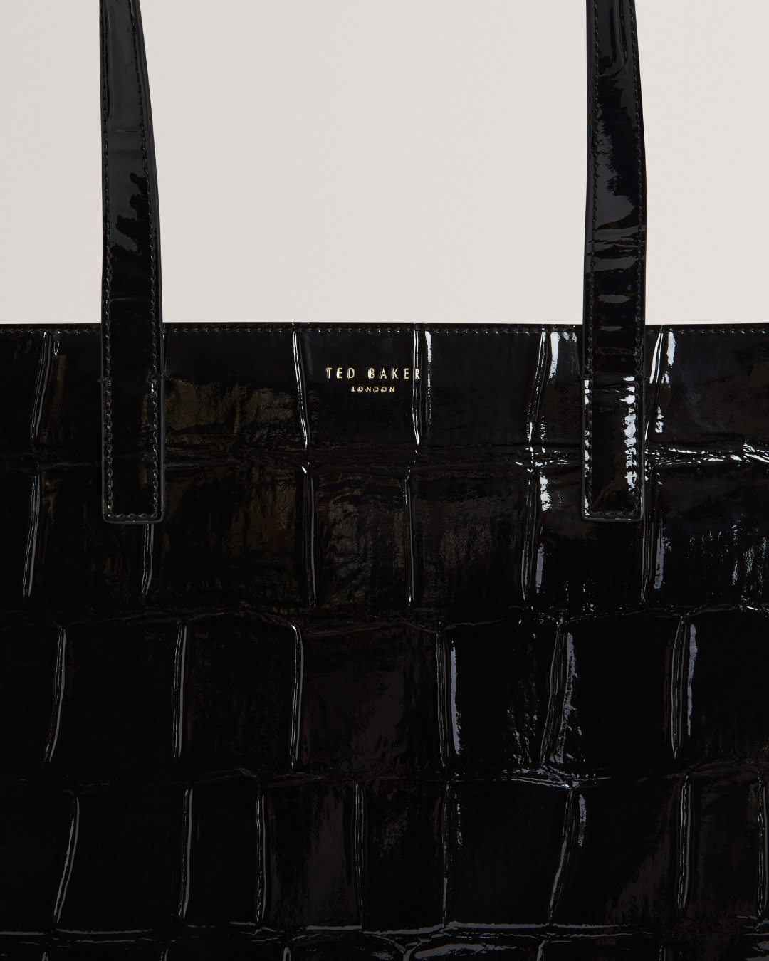 TED VANNDA - S281935