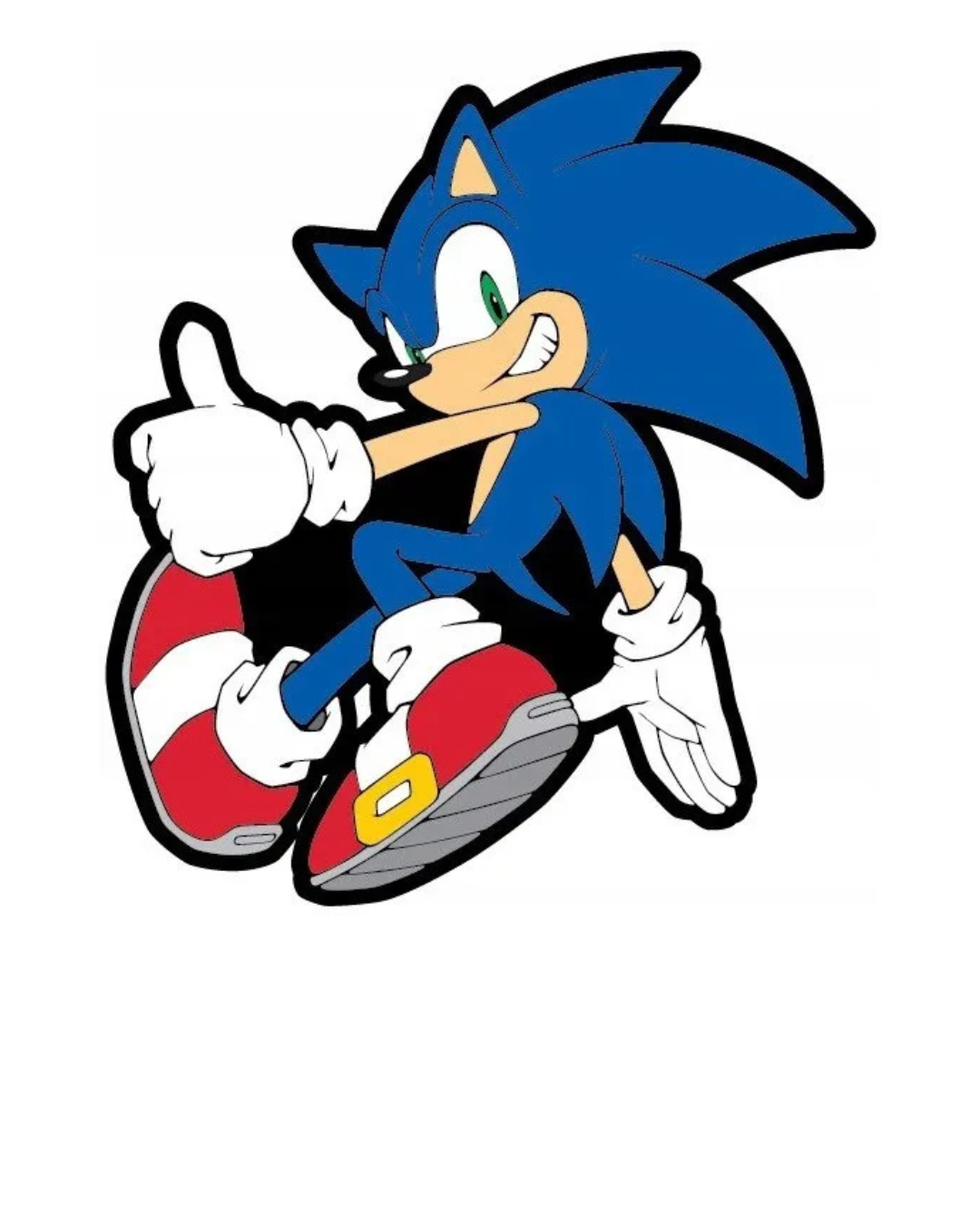 SONIC THE HEDGEHOG - 10016979