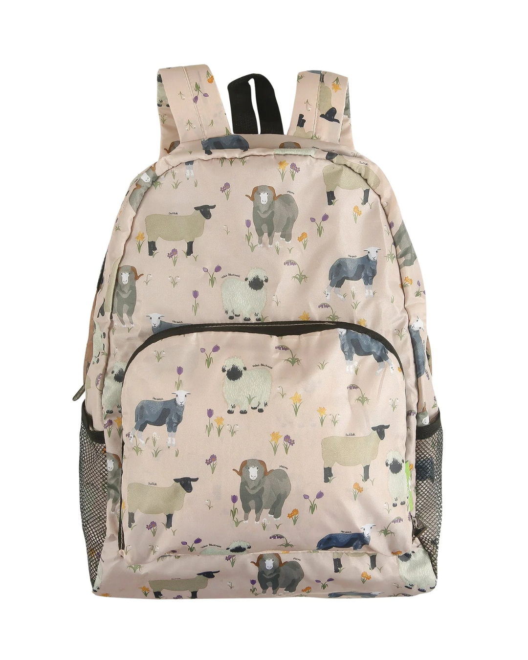 ECO CHIC - B81BG