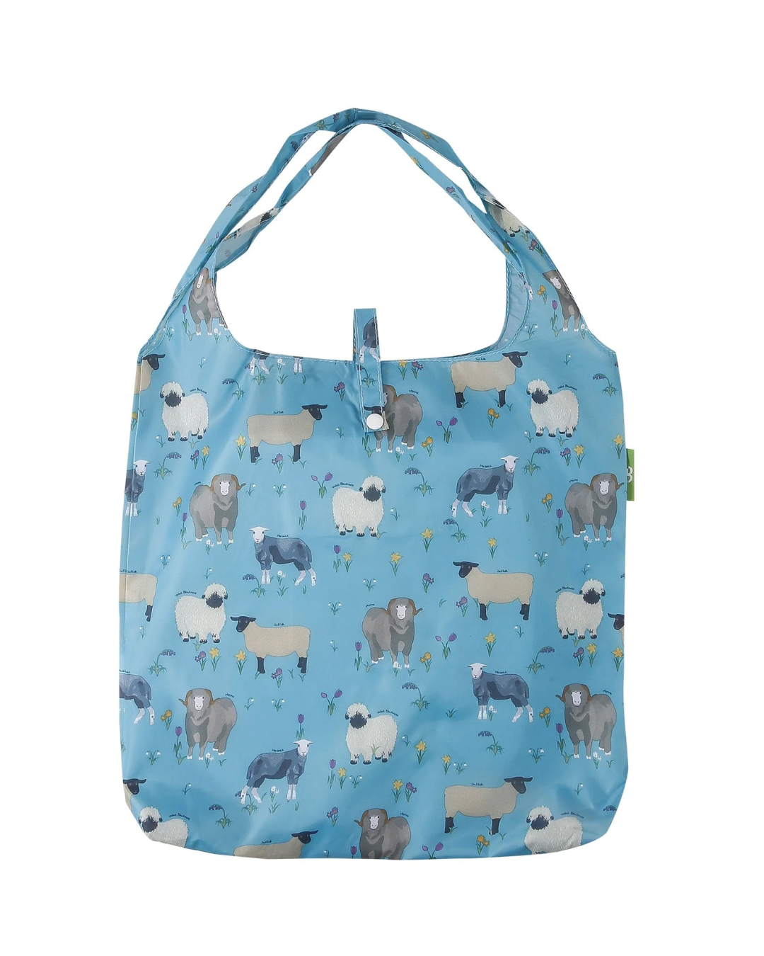 ECO CHIC - A81BU