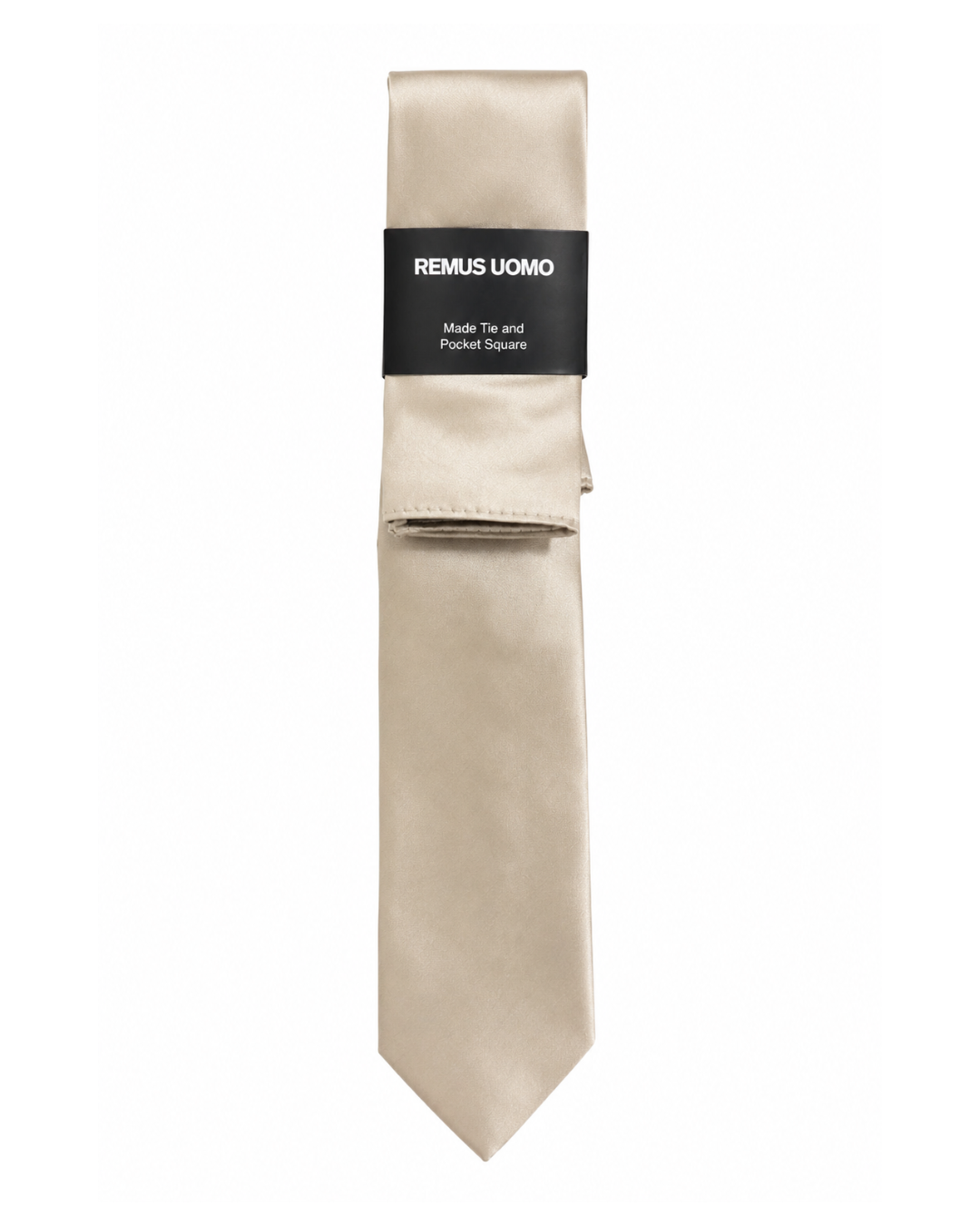 MEN TIE & POCKET SET - TP4308