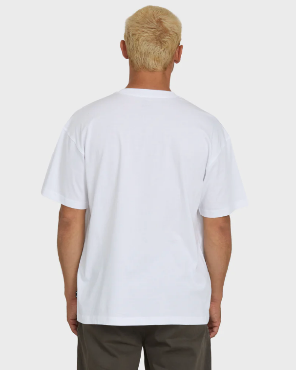 LINK OG SS - BL000591
