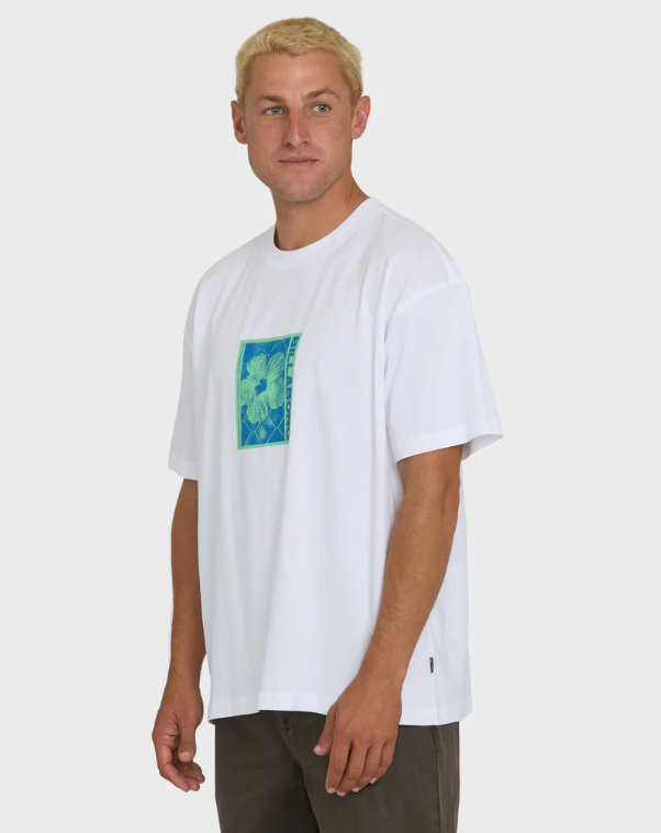 LINK OG SS - BL000591