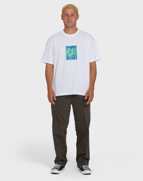 LINK OG SS - BL000591