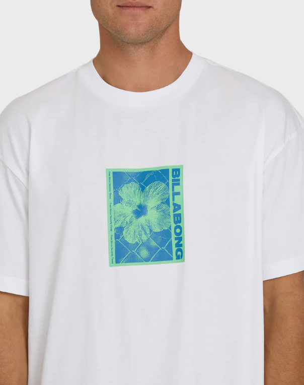 LINK OG SS - BL000591