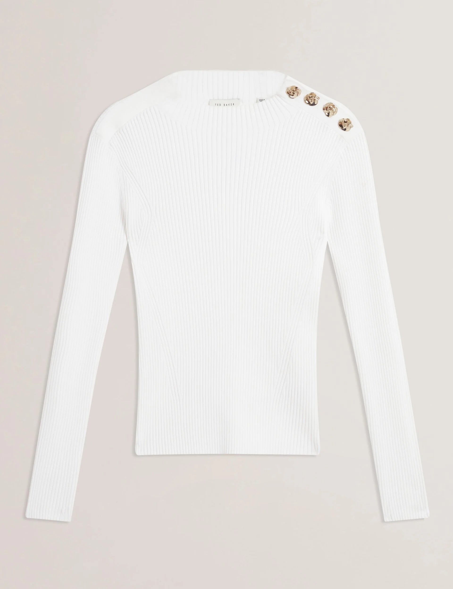 TED BLEANA - S281885